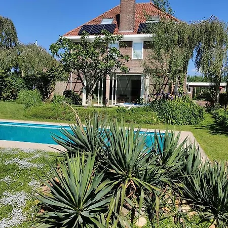 Homestay Directors And Swimmingpool