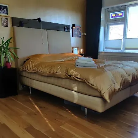 Directors Room Swimmingpool Ecolodge Tilburg منزل للإقامة *