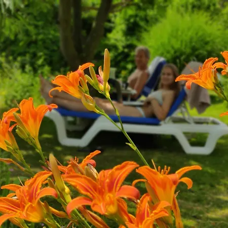 Homestay Directors And Swimmingpool Tilburg