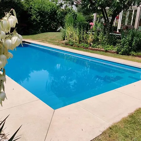Directors Swimmingpool 民宿