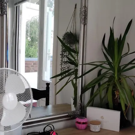 Directors And Swimmingpool Homestay Tilburg