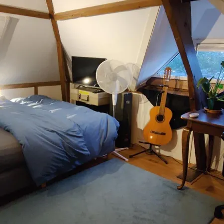 Homestay Directors And Swimmingpool Tilburg