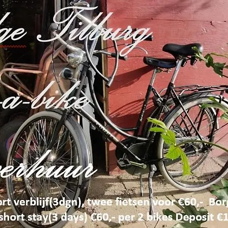 Directors And Swimmingpool Homestay Tilburg