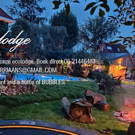 Directors And Swimmingpool Homestay