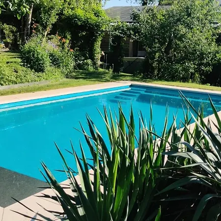 Directors Swimmingpool 提耳堡