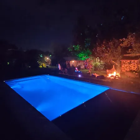 Directors And Swimmingpool * Tilburg
