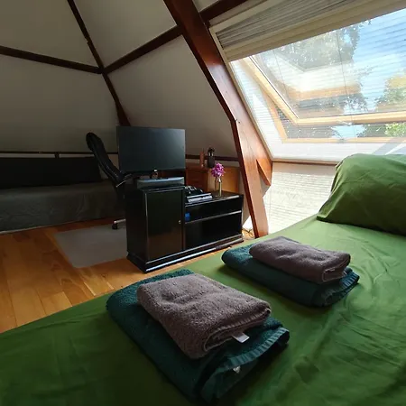 Accommodatie bij particulieren Directors Swimmingpool Tilburg