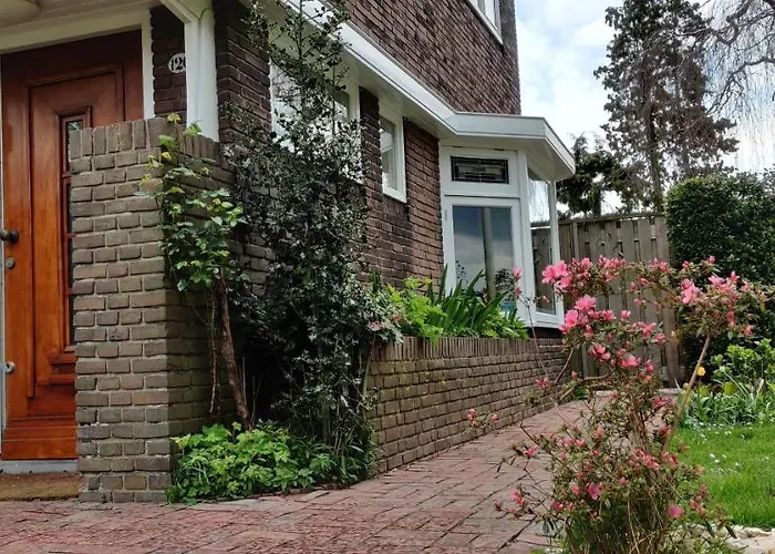 Directors Swimmingpool Privatunterkunft