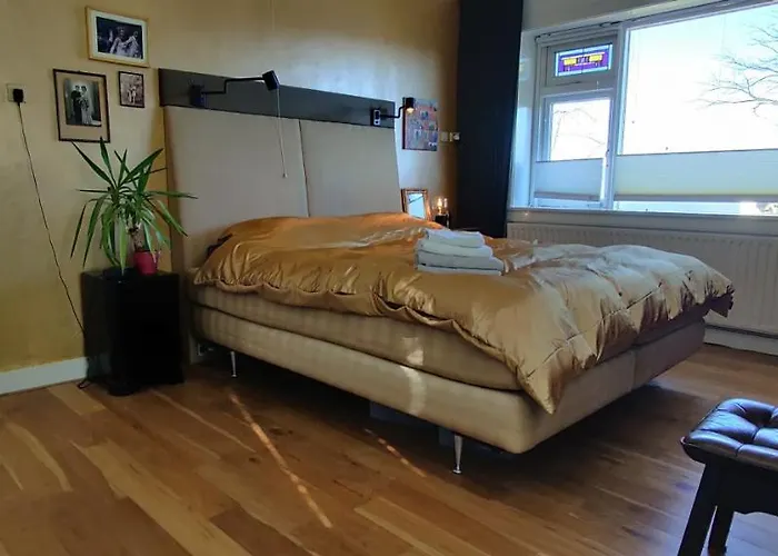 Directors Swimmingpool Accommodatie bij particulieren *