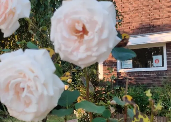 Directors Swimmingpool Accommodatie bij particulieren