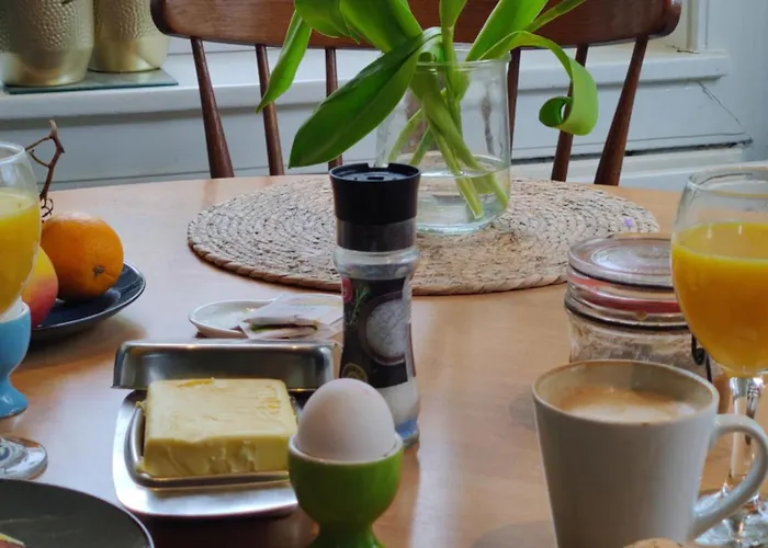 Directors Swimmingpool Tilburg