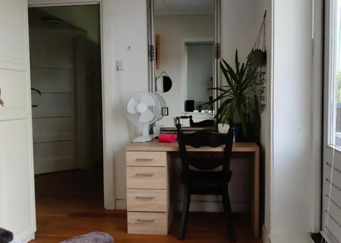 Directors Swimmingpool * Tilburg