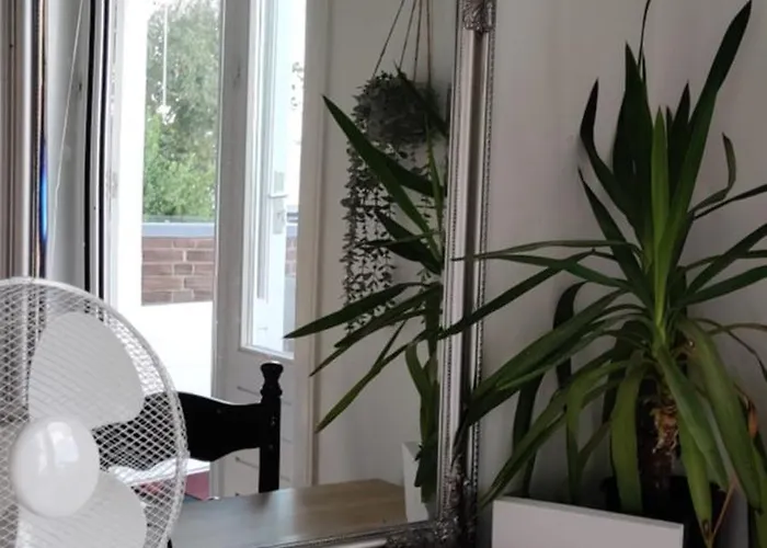 Directors Swimmingpool Privatunterkunft Tilburg