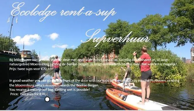 Accommodatie bij particulieren Directors Swimmingpool Tilburg