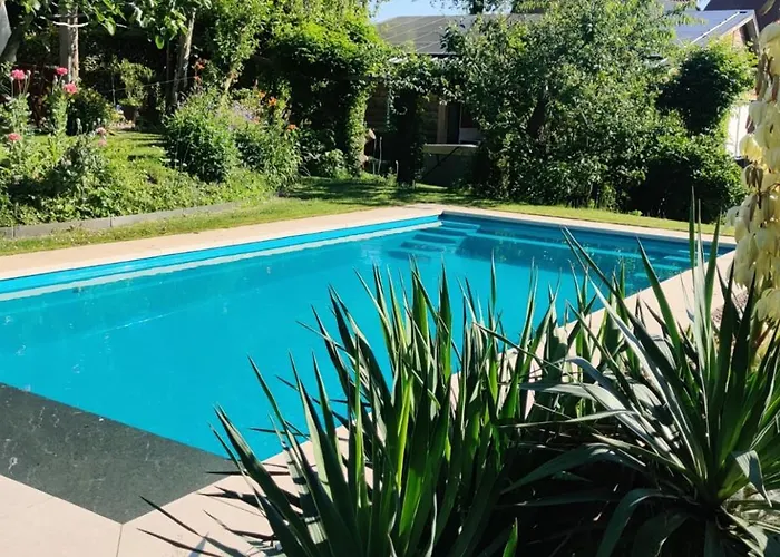 Directors Swimmingpool Tilburg