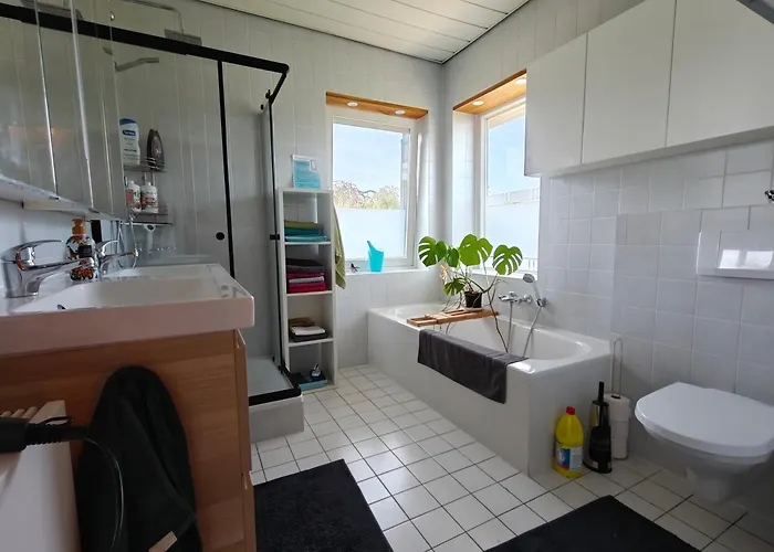 Directors Swimmingpool