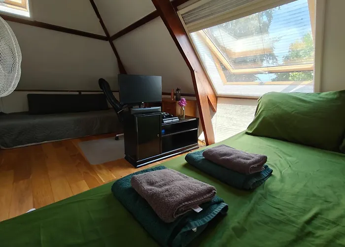 Accommodatie bij particulieren Directors Swimmingpool Tilburg