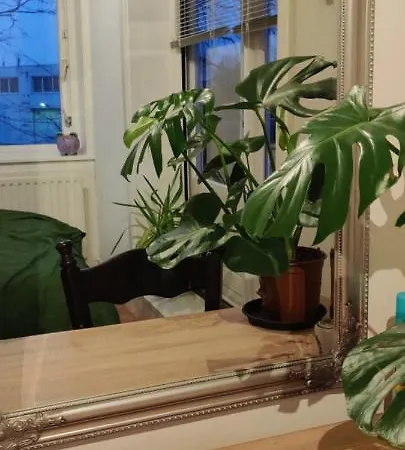 Directors Swimmingpool * Tilburg