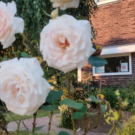 Directors Swimmingpool Ubytování v soukromí