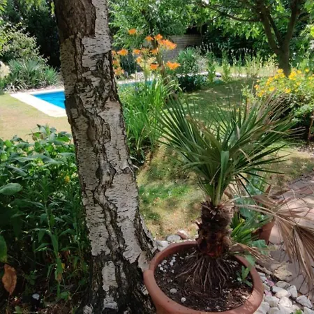 Ubytování v soukromí Directors Swimmingpool Tilburg